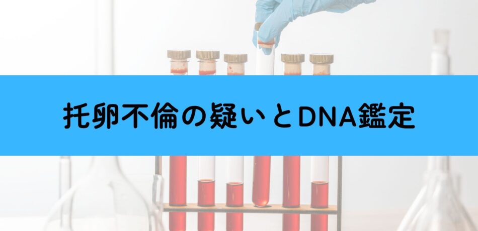 托卵不倫 DNA鑑定