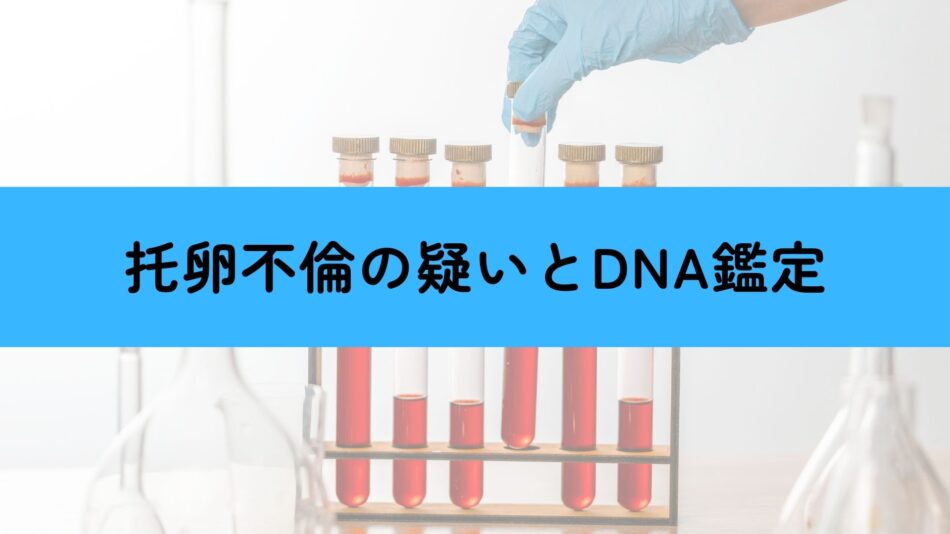 托卵不倫　DNA鑑定